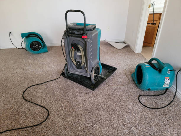 Best Carpet water damage restoration  in Su Oswego, NY