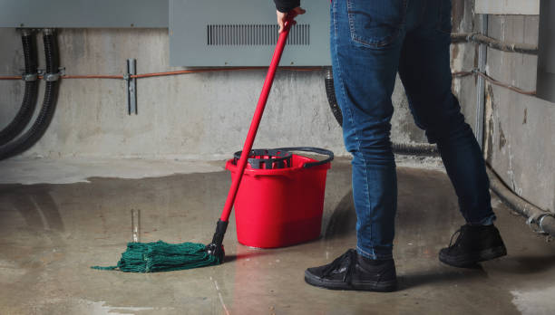 Best Mold removal after water damage  in Su Oswego, NY
