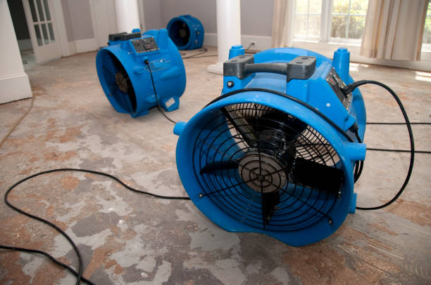  Su Oswego, NY Water damage restoration Pros