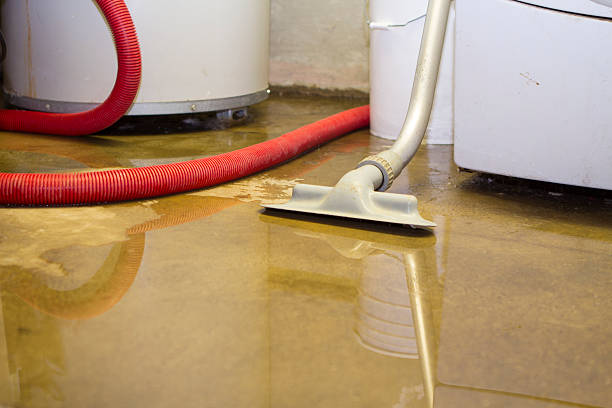 Best Flood damage cleanup  in Su Oswego, NY