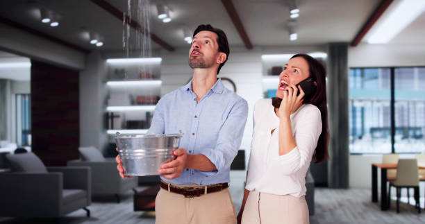 Best Professional water damage repair  in Su Oswego, NY