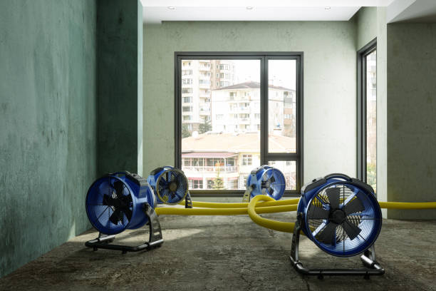 Best 24/7 water damage repair  in Su Oswego, NY